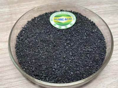 Sodium Humate Granule Fertilizer