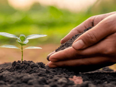 The improvement effect of Humic Acid on soil - physical effect