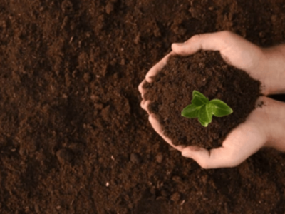 The effect of humic acid on soil improvement - chemical action