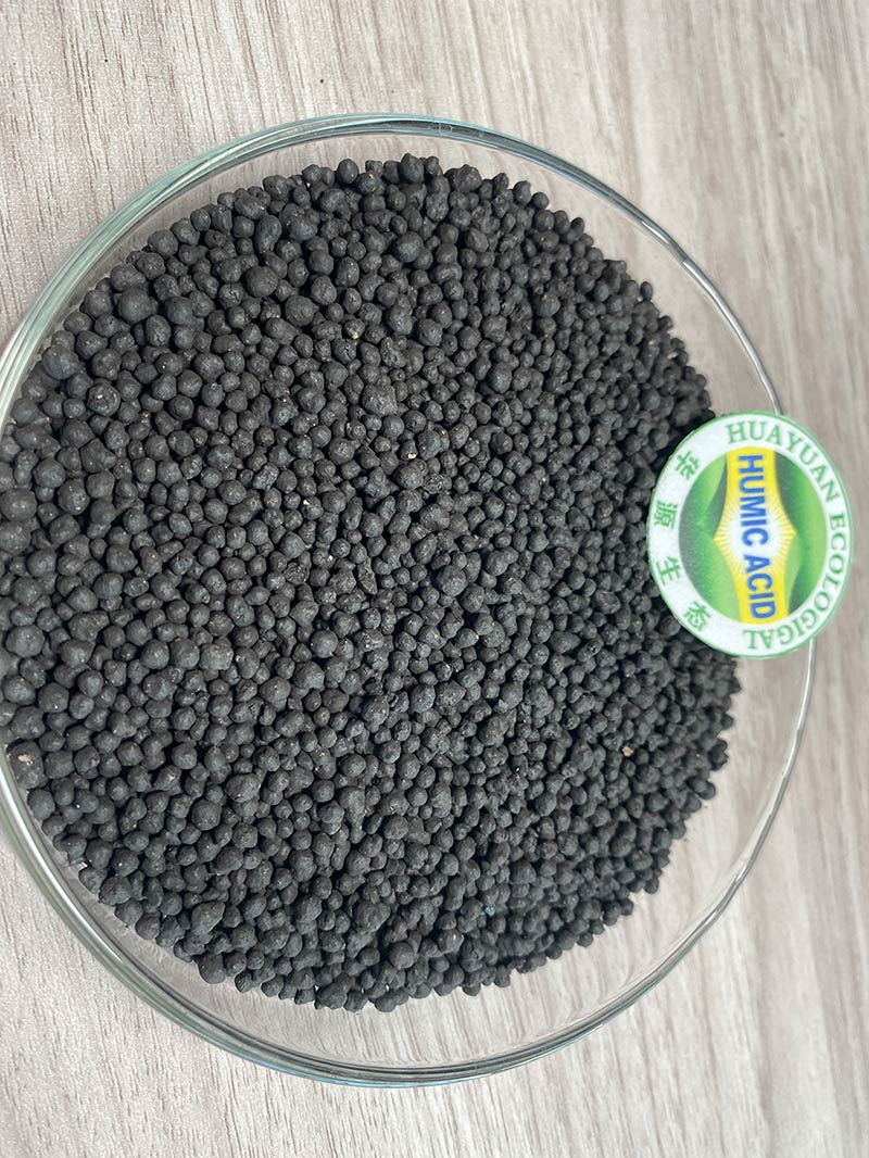 Humic Acid Granular 50%