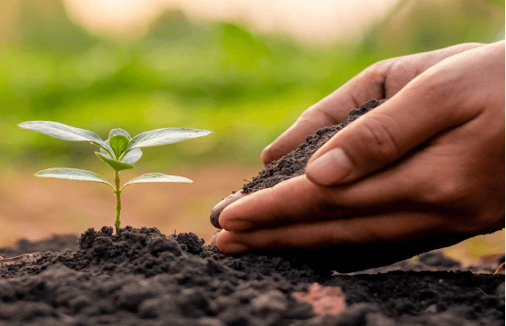 The improvement effect of Humic Acid on soil - physical effect.jpg