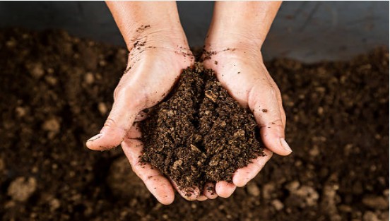 The improvement effect of Humic Acid on soil - physical effect.jpg