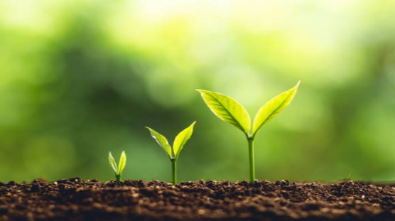 The improvement effect of Humic Acid on soil - physical effect.jpg