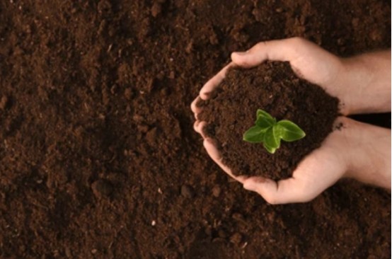 The improvement effect of Humic Acid on soil - chemical effect.jpg