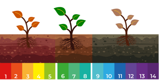The improvement effect of Humic Acid on soil - chemical effect.jpg