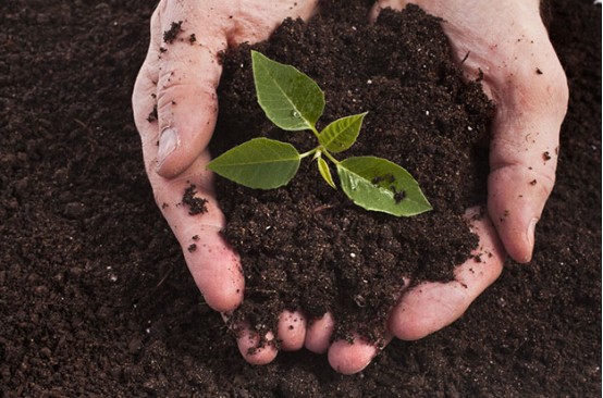 The improvement effect of Humic Acid on soil - chemical effect.jpg