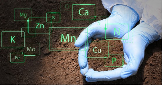 The improvement effect of Humic Acid on soil - chemical effect.jpg