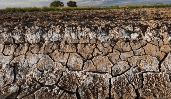 Saline-alkali Land.jpg