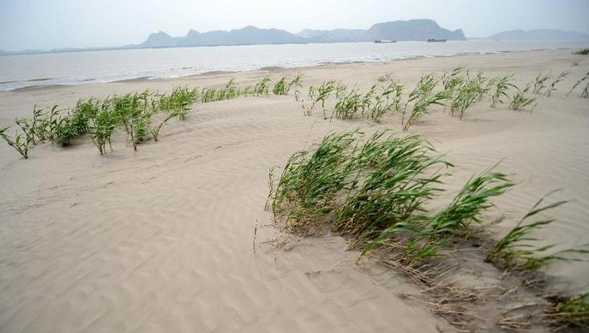 Desertified Soil.jpg