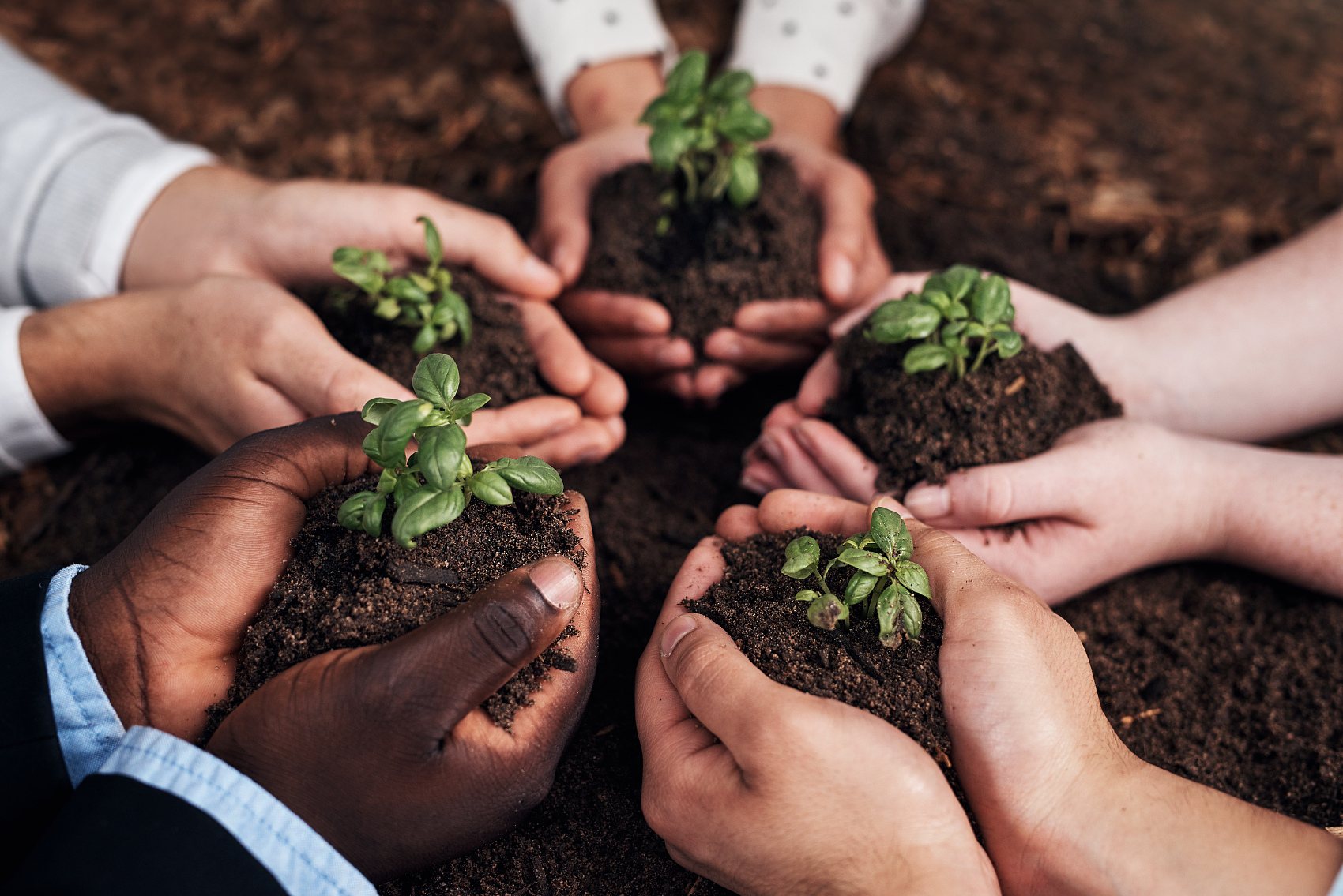 The eight functions and five effects of mineral source fulvic acid.jpg