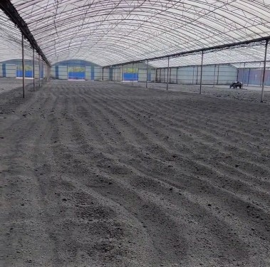 Production and delivery.jpg