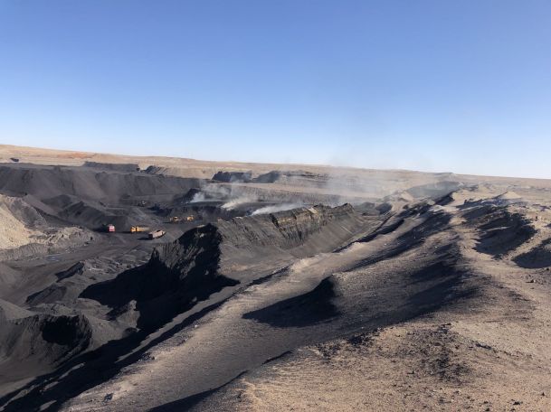 Manufacturer Sodium Humate Flakes In Stock.jpg