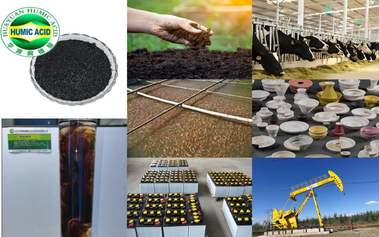 Factory Direct Sell Sodium Humate With Good Price.jpg