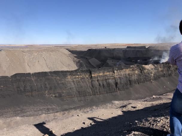 Excellent Quality Humic Acid Powder With Lowest Price.jpg