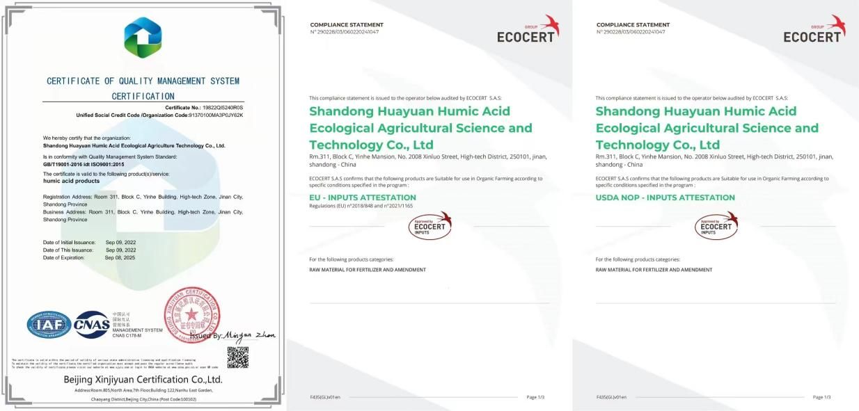 Excellent quality Humic Acid Manufacturer In China.jpg